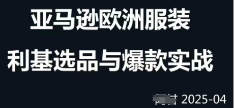 跨境电商选品案例24-25年，聚焦跨境电商选品策略与运营优化，助力卖家挖掘蓝海市场-聊项目