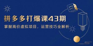 拼多多打爆课第 43 期,掌握高价虚拟项目,运营技巧全解析(15节-聊项目