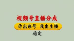 视频号直播分成,全程托管招募,单月轻松变现8k【揭秘】-聊项目