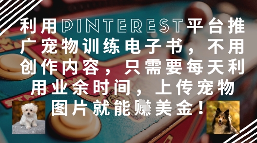 利用Pinterest平台推广宠物训练电子书，不用创作内容，只需要每天利用业余时间，上传宠物图片就能挣美金!-聊项目