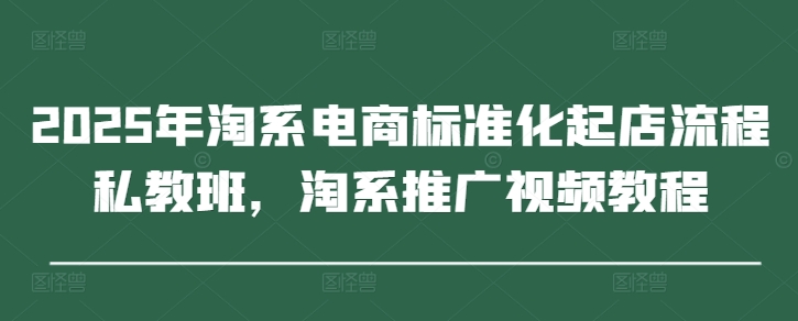 2025年淘系电商标准化起店流程私教班，淘系推广视频教程-聊项目