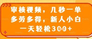 视频审核员,几秒一单,不限时间,不限地点,多做多得,新人小白一天轻松几张+【揭秘】-聊项目