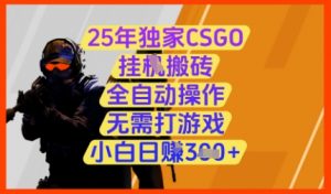 25年独家CSGO挂G搬砖,全自动操作,无需打游戏,小白日入3张+【揭秘】-聊项目