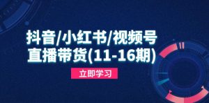 抖音/小红书/视频号/直播带货(11-16期-聊项目