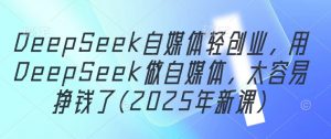 DeepSeek自媒体轻创业,用DeepSeek做自媒体,太容易挣钱了(2025年新课)-聊项目