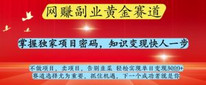 网创副业黄全赛道,掌握独家项目密码,知识变现快人一步,告别韭菜轻松实现单日变现1k+【揭秘】-聊项目