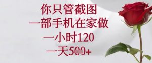 你只管截图,一部手机在家可以做,一小时120.一天5张+【揭秘】-聊项目