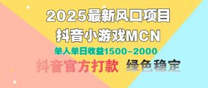 2025最新风口项目 抖音小游戏MCN 单人单日收益1500-2000+-聊项目