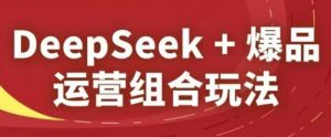 DeepSeek+爆品运营组合玩法,2025淘系精品课-聊项目