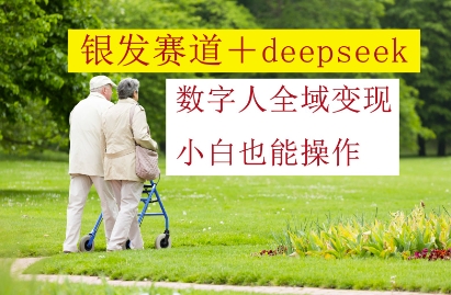 银发赛道+deepseek数字人全域变现，小白也能操作-聊项目