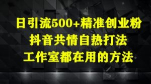 日引流500+精准创业粉,抖音共情自热打法,工作室都在用的方法-聊项目