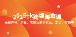 2025Tk跨境淘金课:涵盖养号、剪辑、店铺注册到选品、定价、营销等-聊项目