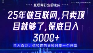 什么!25年你还在找项目做?风口早就变了,卖项目才是稳挣不赔【揭秘】-聊项目