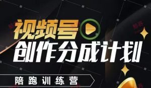 视频号创作分成计划陪跑训练营,手把手教会你如何制作视频,细水长流型项目-聊项目