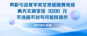 男粉引流教学美女常规跳舞视频两天实测变现1k+，不违规不封号可矩阵操作-聊项目