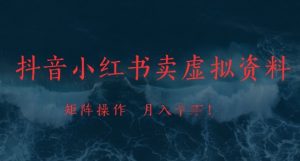 抖音小红书卖虚拟资料,市场需求一直存在,矩阵操作,月入1w+-聊项目