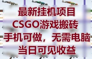 最新挂G项目,CSGO游戏搬砖,手机可做,无需电脑,当日见收益【揭秘】-聊项目