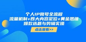 个人IP账号全流程:流量机制+四大内容定位+黄金思维, 爆款选题与剪辑实操-聊项目