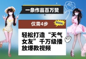 一条作品百万赞! 只需4步,轻松打造“天气女友”千万级播放爆款视频-聊项目