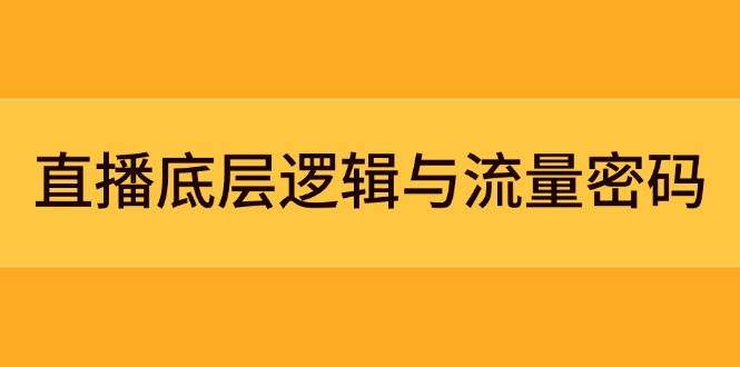 直播底层逻辑与流量密码：定位模型+案例拆解，急速流承接与数据优化全攻略-聊项目
