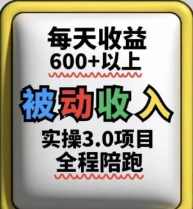 被动收入实操3.0项目,每天收益6张+以上,能长期操作-聊项目