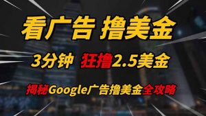 看广告,撸美金!!3分钟赚2.5美金!!日入200美金不是梦!揭秘Google…-聊项目