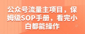 公众号流量主项目,保姆级SOP手册,看完小白都能操作-聊项目