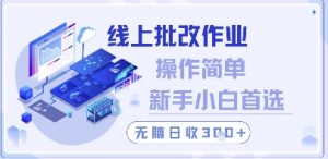 线上批改作业,操作简单新手小白首选,无脑日收300+【揭秘】-聊项目