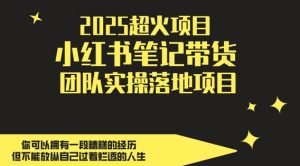 2025超火项目,副业最佳选择,小红书笔记带货团队实操落地项目,,轻松日入5张-聊项目