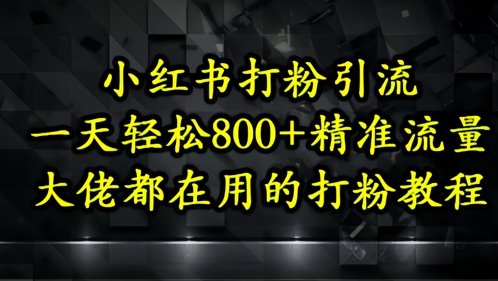 小红书打粉引流，一天轻松500+精准流量，大佬都在用的打粉教程-聊项目