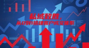 私域致胜,从0到1搭建客户成交体系-聊项目