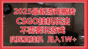 2025最新游戏搬砖,CSGO挂机,不需要玩游戏,实现真挂机,月入1W+-聊项目