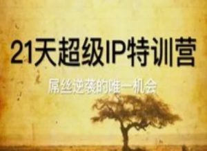 21天超级IP特训营,屌丝逆袭的唯一机会-聊项目