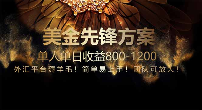 免费技术！小众赛道！一年布局抵三年努力，每日800+-聊项目