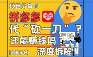 【2025最新】拼多多代坎助力项目深度拆解:还能挣钱吗?全流程玩法-聊项目