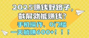 (14771期)2025赚钱野路子,截屏就能赚钱?手机操作0门槛,一天躺赚600+!!!-聊项目