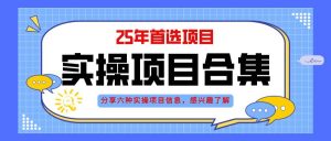 (14767期)2025年实操六大项目实操演练,挂机类型,AI直播类型,轻资产创业类型,…-聊项目