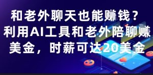 和老外聊天也能挣钱?利用AI工具和老外陪聊挣美金,时薪可达20刀-聊项目