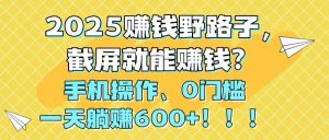 2025赚钱野路子,截屏就能赚钱?手机操作0门槛,一天躺赚600+!!!-聊项目