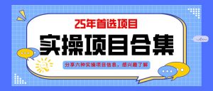 2025年实操六大项目实操演练,挂机类型,AI直播类型,轻资产创业类型,…-聊项目
