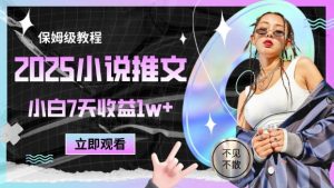 2025小说推文最新玩法,推文保姆级教程,小白7天收益1w+-聊项目