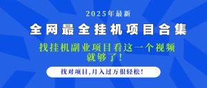 2025最全挂机项目合集 找项目看这一个视频就够了,做对项目月入过万很…-聊项目