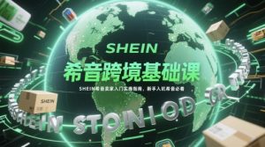希音跨境基础课,SHEIN希音卖家入门实操指南,新手入坑希音必看-聊项目