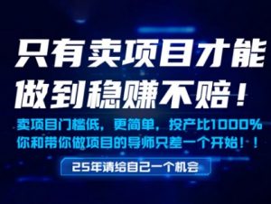 只有卖项目才能做到稳挣不赔,门槛低,更简单,你也可以年入百个W【揭秘】-聊项目