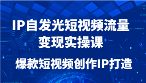 IP自发光短视频流量变现实操课,爆款短视频创作IP打造-聊项目