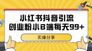 小红书抖音创业粉，小B端粉自热，日引99+的一个玩法【揭秘】-聊项目