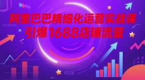 阿里巴巴精细化运营实战课,引爆1688店铺流量-聊项目