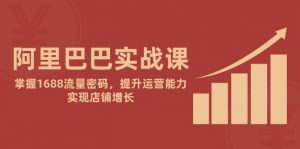 阿里巴巴实战课:掌握1688流量密码,提升运营能力,实现店铺增长-聊项目