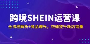 跨境SHEIN运营课,全流程解析+商品曝光,快速提升新店销量-聊项目