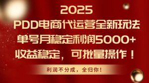 2025PDD电商代运营全新玩法,单号月稳定利润5000+,收益稳定,可批量操作-聊项目